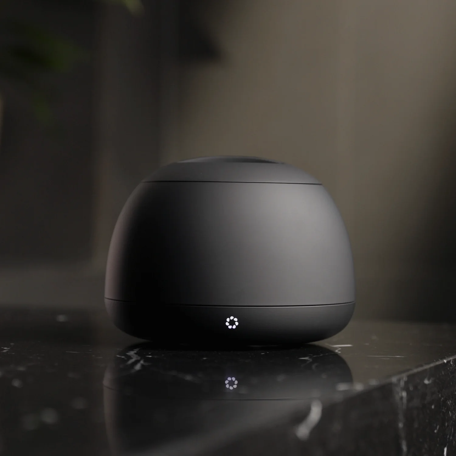 crna-limited-edition